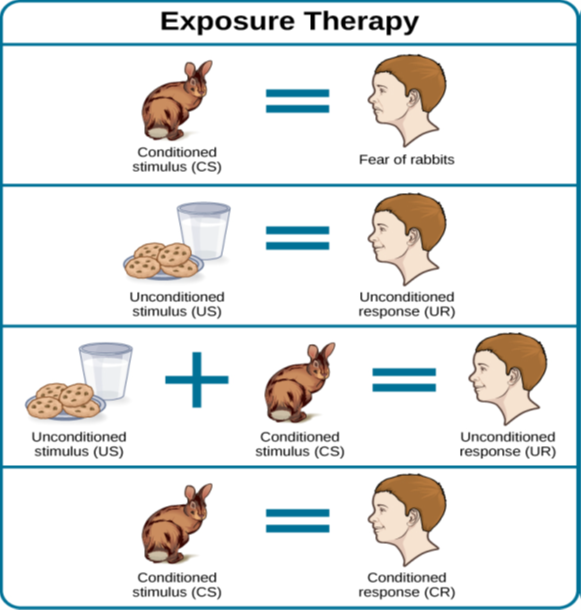 This figure, titled “Exposure Therapy,” illustrates the exposure therapy strategy of Mary Cover Jones to rid a person of the fear of rabbits. The first of four levels depicts an image of a person and a rabbit with an equals sign between them. Under the rabbit reads “conditioned stimulus (CS),” and under the person reads “fear of rabbits.” The second level depicts an image of milk and cookies, labeled “unconditioned stimulus (US),” and on the other side of an equals sign there is a picture of the same person labeled “unconditioned response (UR).” The third level shows the milk and cookies, labeled “unconditioned stimulus (US),” and rabbit, labeled “conditioned stimulus (CS),” to the left and right of a plus sign, with the person on the other side of an equals sign. The label “unconditioned response (UR) is below the person.” The final level shows the person and the rabbit separated by an equals sign. This time the rabbit is labeled “conditioned stimulus (CS)” and the person is labeled “conditioned response (CR).”