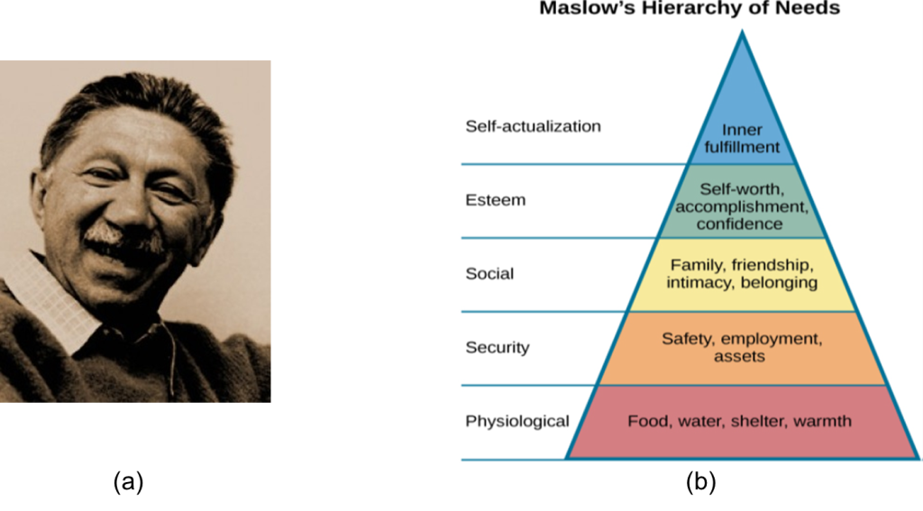 (a) A photograph of Abraham Maslow and (b) A triangle is divided vertically into five sections with corresponding labels inside and outside of the triangle for each section. From top to bottom, the triangle's sections are labeled: self-actualization corresponds to “Inner fulfillment” esteem corresponds to “Self-worth, accomplishment, confidence”; social corresponds to “Family, friendship, intimacy, belonging” security corresponds to “Safety, employment, assets”; “physiological corresponds to Food, water, shelter, warmth.”