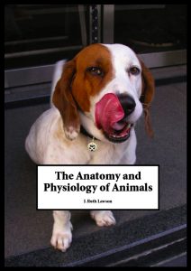 The book cover image depicts a dog licking his mouth and smiling.
