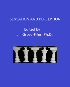 Sensation and Perception book cover