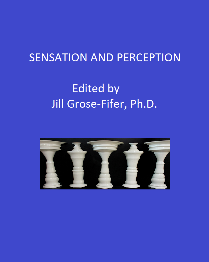 Cover image for Sensation and Perception