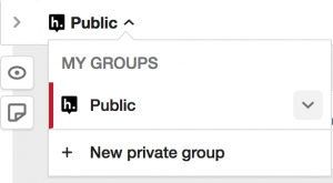 the Hypothesis menu where private groups can be created