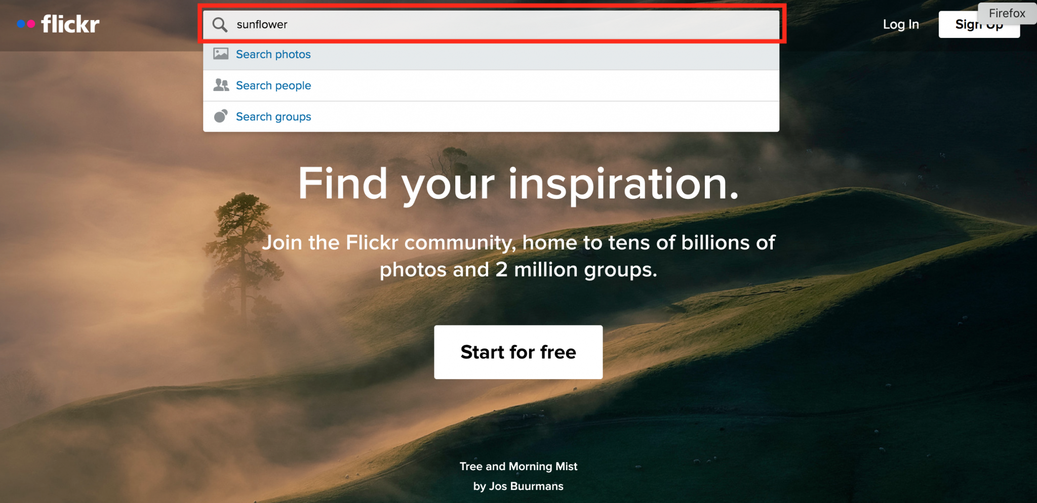 Finding Images On Flickr – Finding And Using Openly Licensed Images: A ...