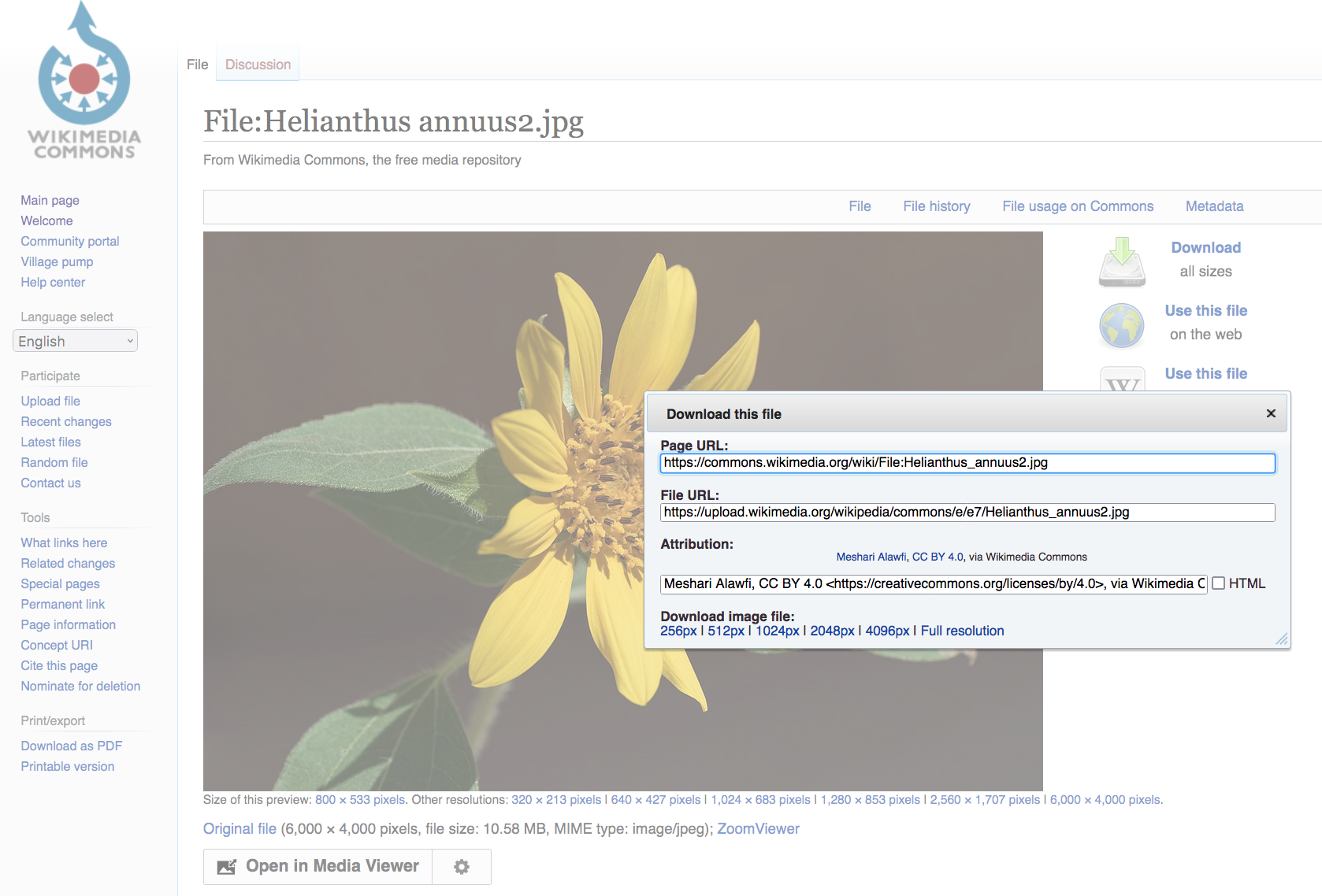 dialog box for downloads on Wikimedia Commons