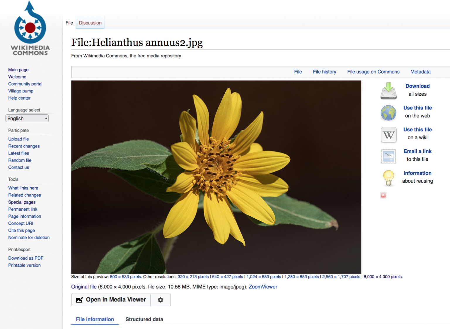 Finding Images on Wikimedia Commons – Finding and Using Openly Licensed ...